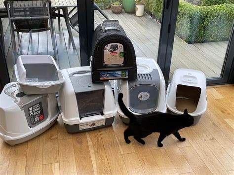 best cat lotter|cat litter reviews 2022 uk.
